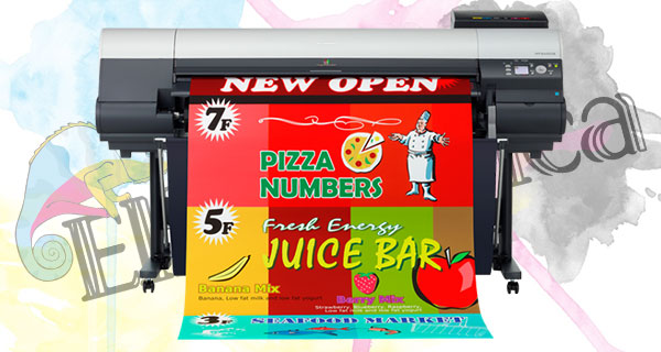 Eliografica.com :: plottaggi grafica